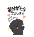 やさしいトイプードル『仕事＆連絡』（個別スタンプ：6）