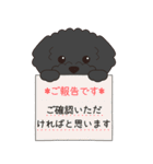 やさしいトイプードル『仕事＆連絡』（個別スタンプ：25）