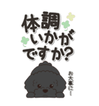 やさしいトイプードル『仕事＆連絡』（個別スタンプ：29）