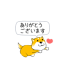 激しく尻尾をふる柴犬【復活版】（個別スタンプ：2）