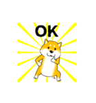 激しく尻尾をふる柴犬【復活版】（個別スタンプ：3）