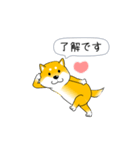 激しく尻尾をふる柴犬【復活版】（個別スタンプ：6）