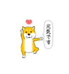 激しく尻尾をふる柴犬【復活版】（個別スタンプ：7）