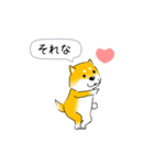 激しく尻尾をふる柴犬【復活版】（個別スタンプ：8）
