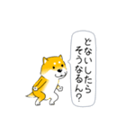 激しく尻尾をふる柴犬【復活版】（個別スタンプ：10）