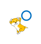 激しく尻尾をふる柴犬【復活版】（個別スタンプ：14）