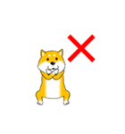 激しく尻尾をふる柴犬【復活版】（個別スタンプ：15）