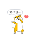激しく尻尾をふる柴犬【復活版】（個別スタンプ：21）