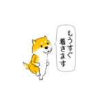 激しく尻尾をふる柴犬【復活版】（個別スタンプ：22）