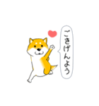 激しく尻尾をふる柴犬【復活版】（個別スタンプ：23）