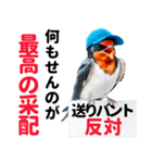 【野球】送りバント反対党の燕ファンつばめ（個別スタンプ：5）
