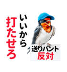 【野球】送りバント反対党の燕ファンつばめ（個別スタンプ：6）