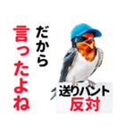 【野球】送りバント反対党の燕ファンつばめ（個別スタンプ：13）