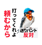 【野球】送りバント反対党の燕ファンつばめ（個別スタンプ：16）