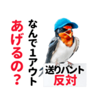 【野球】送りバント反対党の燕ファンつばめ（個別スタンプ：17）