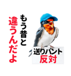 【野球】送りバント反対党の燕ファンつばめ（個別スタンプ：20）