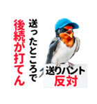 【野球】送りバント反対党の燕ファンつばめ（個別スタンプ：23）