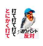 【野球】送りバント反対党の燕ファンつばめ（個別スタンプ：34）