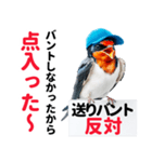 【野球】送りバント反対党の燕ファンつばめ（個別スタンプ：36）