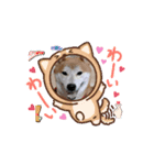 どれにする？（個別スタンプ：4）