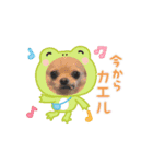もか・きなこ・しょこら・あずき（個別スタンプ：5）