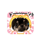 もか・きなこ・しょこら・あずき（個別スタンプ：8）