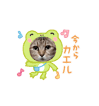ネコ三重県モモちゃん（個別スタンプ：9）