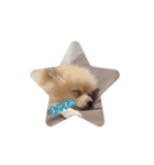 ⭐️ニコ⭐️（個別スタンプ：2）