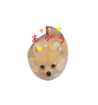⭐️ニコ⭐️（個別スタンプ：5）