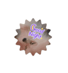 ⭐️ニコ⭐️（個別スタンプ：6）