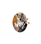 Leo-ne（個別スタンプ：3）