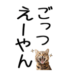 老眼でも見える【関西弁】にやんこ 3（個別スタンプ：1）