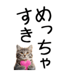 老眼でも見える【関西弁】にやんこ 3（個別スタンプ：2）