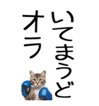 老眼でも見える【関西弁】にやんこ 3（個別スタンプ：4）