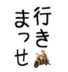 老眼でも見える【関西弁】にやんこ 3（個別スタンプ：5）