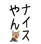 老眼でも見える【関西弁】にやんこ 3（個別スタンプ：10）