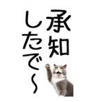 老眼でも見える【関西弁】にやんこ 3（個別スタンプ：12）
