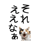 老眼でも見える【関西弁】にやんこ 3（個別スタンプ：18）