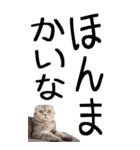老眼でも見える【関西弁】にやんこ 3（個別スタンプ：19）