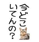 老眼でも見える【関西弁】にやんこ 3（個別スタンプ：21）