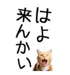 老眼でも見える【関西弁】にやんこ 3（個別スタンプ：23）