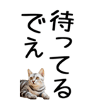 老眼でも見える【関西弁】にやんこ 3（個別スタンプ：24）