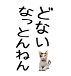 老眼でも見える【関西弁】にやんこ 3（個別スタンプ：29）