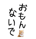 老眼でも見える【関西弁】にやんこ 3（個別スタンプ：30）
