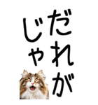 老眼でも見える【関西弁】にやんこ 3（個別スタンプ：31）