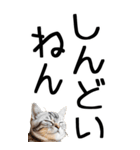 老眼でも見える【関西弁】にやんこ 3（個別スタンプ：32）