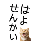 老眼でも見える【関西弁】にやんこ 3（個別スタンプ：33）