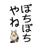 老眼でも見える【関西弁】にやんこ 3（個別スタンプ：35）