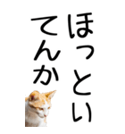 老眼でも見える【関西弁】にやんこ 3（個別スタンプ：36）