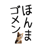 老眼でも見える【関西弁】にやんこ 3（個別スタンプ：37）